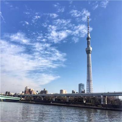 皇室战争虫虫版下载